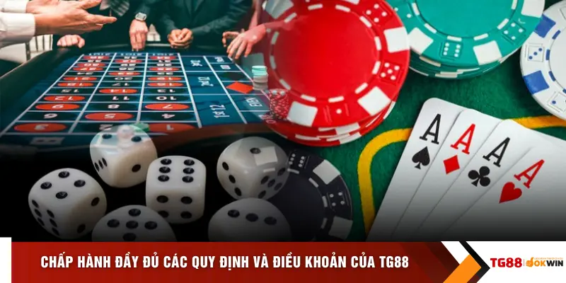 Chấp hành đầy đủ các quy định và điều khoản của TG88